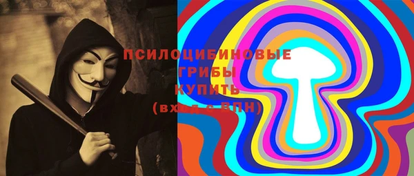 СК Бронницы