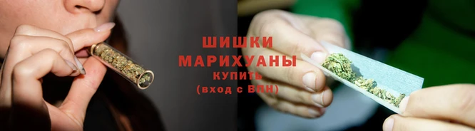 СК Бронницы