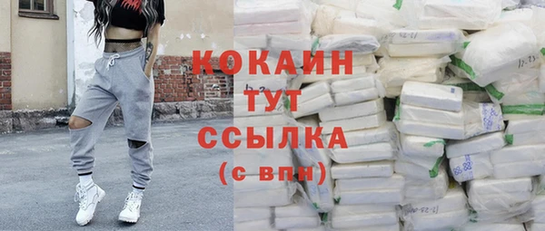 СК Бронницы